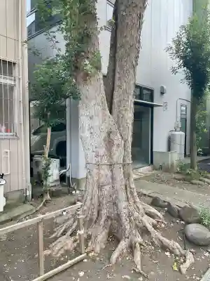 諏訪八幡神社(茨城県)
