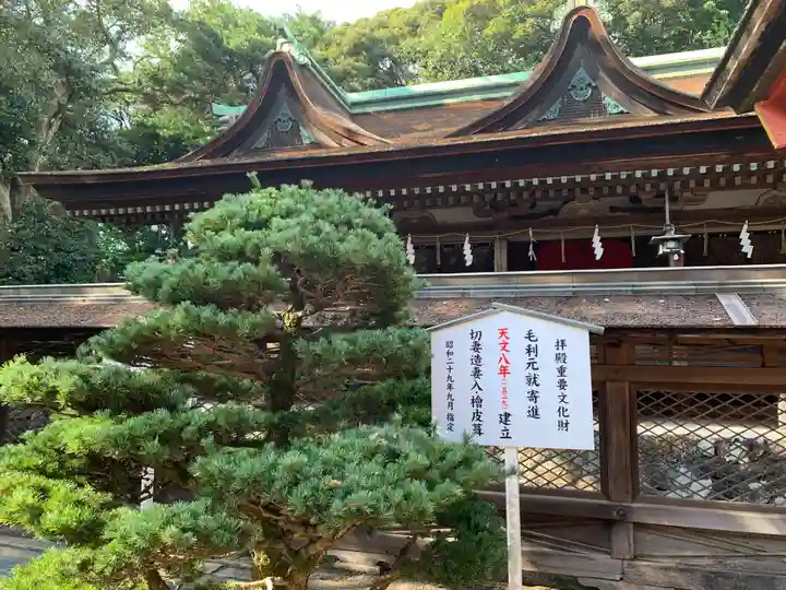 住吉神社の本殿・本堂