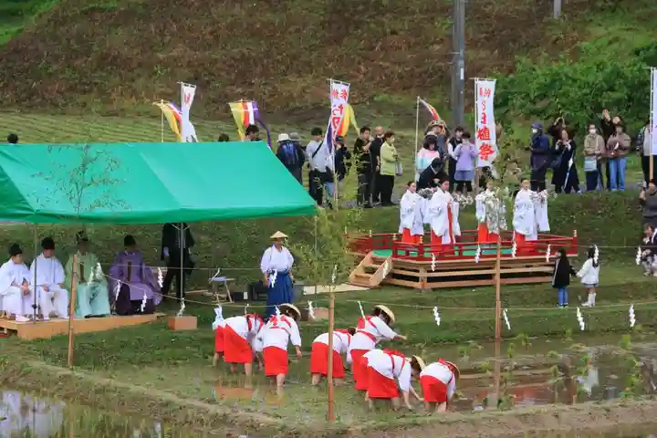 高屋敷稲荷神社のお祭り