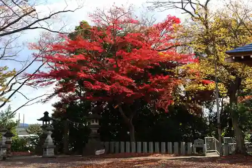 日吉神社の自然