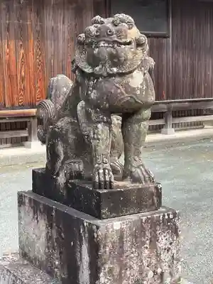 五所八幡宮の狛犬