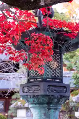 今宮神社(京都府)