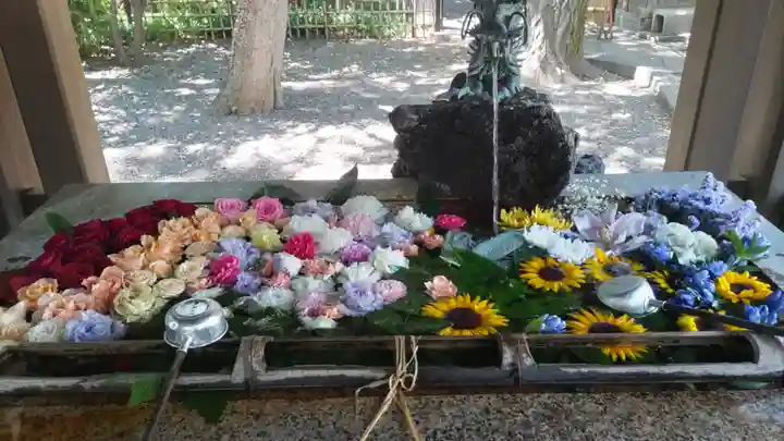 世田谷八幡宮の手水舎
