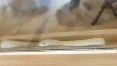 感神院木山寺(岡山県)