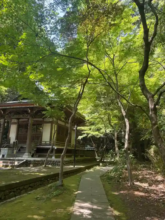 深大寺の{uncategorized: "未分類", other: "その他", undefined: "問題あり", building: "その他建物", grave: "お墓", sacred_gate: "鳥居", guardian: "狛犬", statue: "像", buddha: "仏像", history: "歴史", nature: "自然", garden: "庭園", animal: "動物", pagoda: "塔", temizu: "手水舎", mountain_gate: "山門・神門", sanctuary: "本殿・本堂", subordinate: "末社・摂社", art: "芸術", scenery: "景色", jizo: "地蔵", ema: "絵馬", goshuin: "御朱印", omikuji: "おみくじ", items: "授与品その他", amulet: "お守り", goshuincho: "御朱印帳", eats: "食事", festival: "お祭り", votive_dance: "神楽", shichigosan: "七五三参", wedding: "結婚式", experience: "体験その他", initially: "初詣", around: "周辺", anti_infection: "感染症対策"}