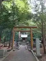 北海道神宮の鳥居