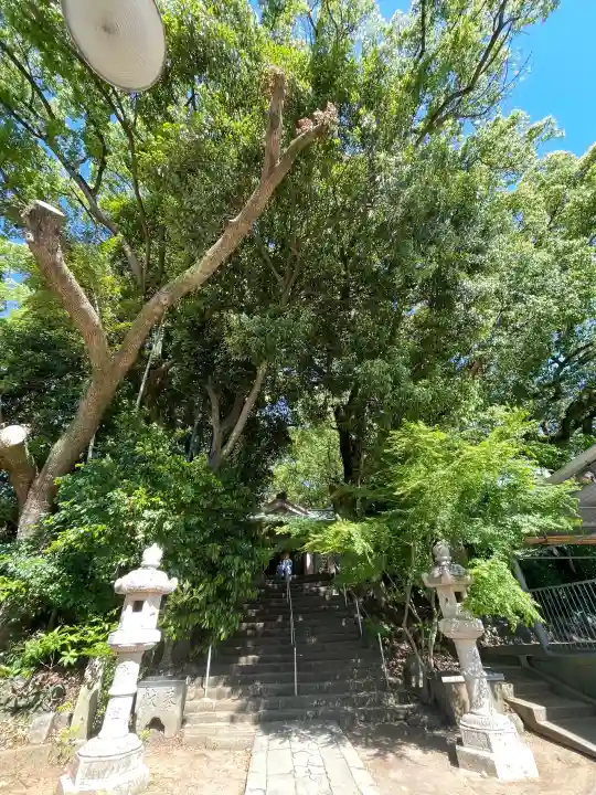 山王神社の{uncategorized: "未分類", other: "その他", undefined: "問題あり", building: "その他建物", grave: "お墓", sacred_gate: "鳥居", guardian: "狛犬", statue: "像", buddha: "仏像", history: "歴史", nature: "自然", garden: "庭園", animal: "動物", pagoda: "塔", temizu: "手水舎", mountain_gate: "山門・神門", sanctuary: "本殿・本堂", subordinate: "末社・摂社", art: "芸術", scenery: "景色", jizo: "地蔵", ema: "絵馬", goshuin: "御朱印", omikuji: "おみくじ", items: "授与品その他", amulet: "お守り", goshuincho: "御朱印帳", eats: "食事", festival: "お祭り", votive_dance: "神楽", shichigosan: "七五三参", wedding: "結婚式", experience: "体験その他", initially: "初詣", around: "周辺", anti_infection: "感染症対策"}