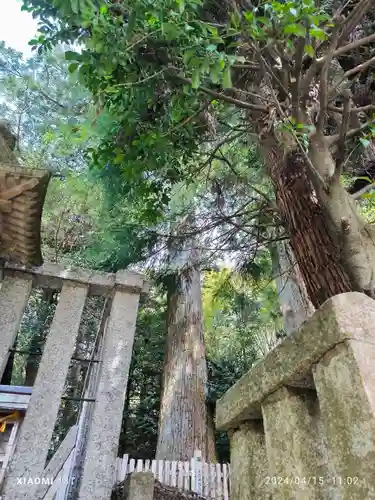 天鷹神社(岐阜県)