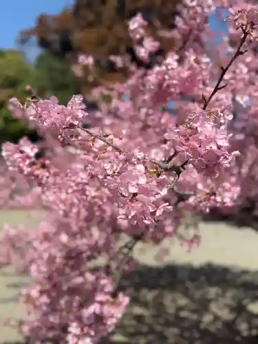 粉河寺の{uncategorized: "未分類", other: "その他", undefined: "問題あり", building: "その他建物", grave: "お墓", sacred_gate: "鳥居", guardian: "狛犬", statue: "像", buddha: "仏像", history: "歴史", nature: "自然", garden: "庭園", animal: "動物", pagoda: "塔", temizu: "手水舎", mountain_gate: "山門・神門", sanctuary: "本殿・本堂", subordinate: "末社・摂社", art: "芸術", scenery: "景色", jizo: "地蔵", ema: "絵馬", goshuin: "御朱印", omikuji: "おみくじ", items: "授与品その他", amulet: "お守り", goshuincho: "御朱印帳", eats: "食事", festival: "お祭り", votive_dance: "神楽", shichigosan: "七五三参", wedding: "結婚式", experience: "体験その他", initially: "初詣", around: "周辺", anti_infection: "感染症対策"}