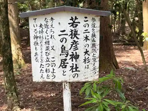 若狭彦神社（上社）(福井県)