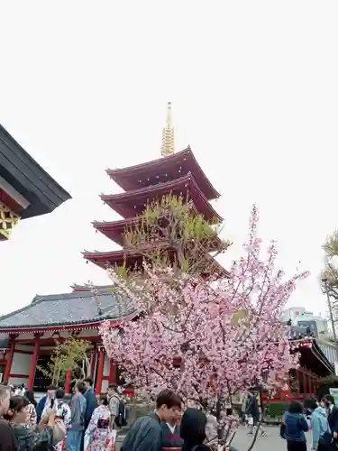 浅草寺のその他建物