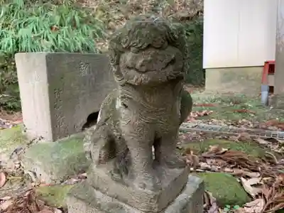 神明神社の狛犬