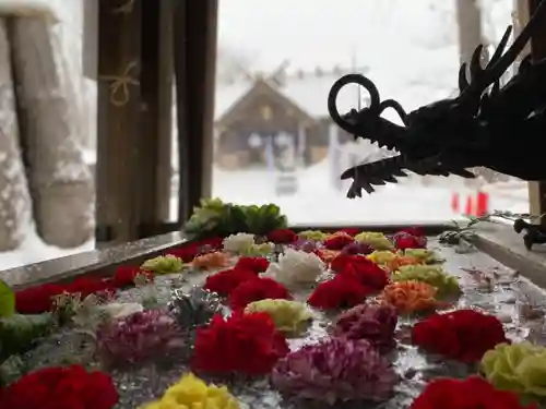 札幌諏訪神社の手水