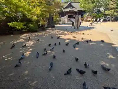 四柱神社(長野県)
