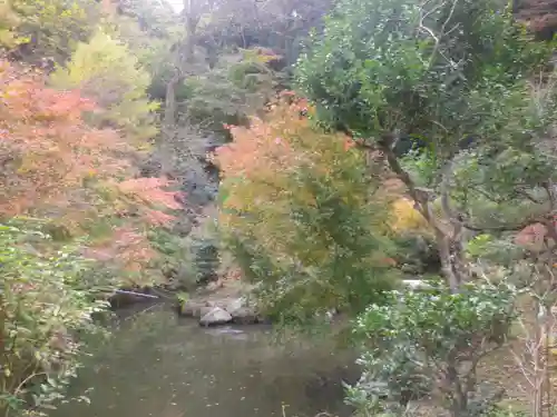 光則寺の庭園