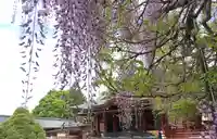 笠間稲荷神社(茨城県)