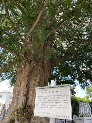 石田寺(東京都)
