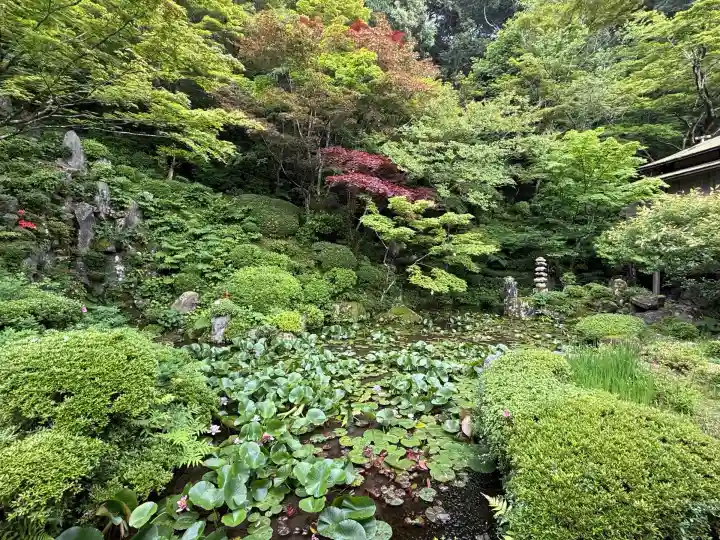 金剛輪寺(滋賀県)