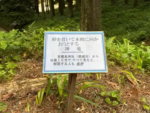 住吉神社の{uncategorized: "未分類", other: "その他", undefined: "問題あり", building: "その他建物", grave: "お墓", sacred_gate: "鳥居", guardian: "狛犬", statue: "像", buddha: "仏像", history: "歴史", nature: "自然", garden: "庭園", animal: "動物", pagoda: "塔", temizu: "手水舎", mountain_gate: "山門・神門", sanctuary: "本殿・本堂", subordinate: "末社・摂社", art: "芸術", scenery: "景色", jizo: "地蔵", ema: "絵馬", goshuin: "御朱印", omikuji: "おみくじ", items: "授与品その他", amulet: "お守り", goshuincho: "御朱印帳", eats: "食事", festival: "お祭り", votive_dance: "神楽", shichigosan: "七五三参", wedding: "結婚式", experience: "体験その他", initially: "初詣", around: "周辺", anti_infection: "感染症対策"}