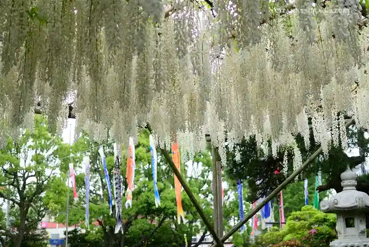 白旗神社の庭園