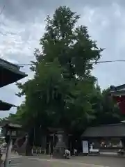 下総国三山　二宮神社(千葉県)