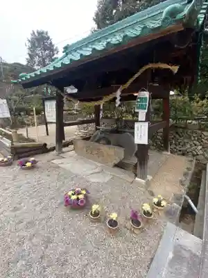 龍田大社の手水舎