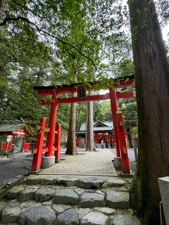 椿岸神社の鳥居