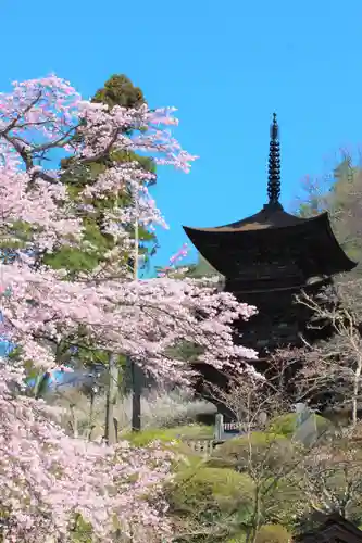 国宝 大法寺(長野県)