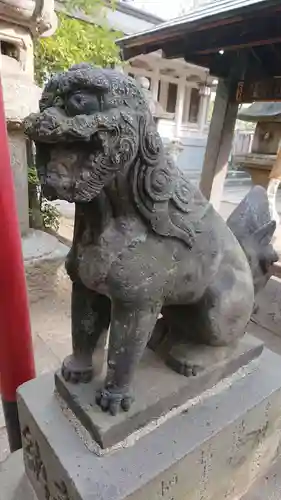 富岡八幡宮の狛犬