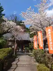 不動寺(松井田不動尊) の自然