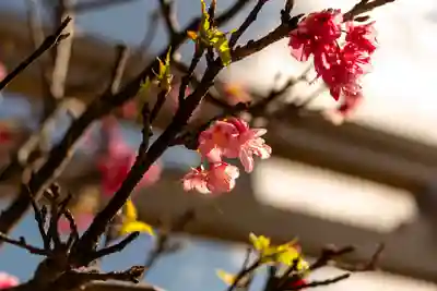 宮古神社(沖縄県)
