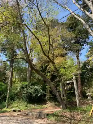 皇神社(千葉県)