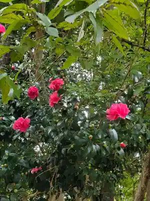 沙沙貴神社(滋賀県)