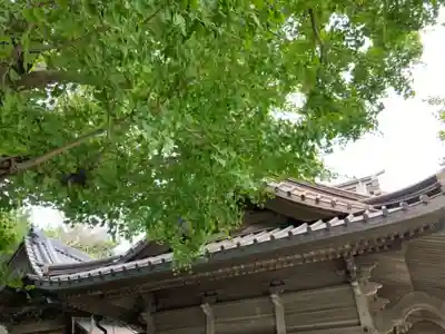 小動神社の本殿・本堂