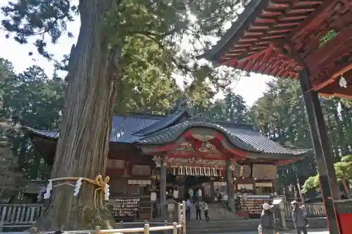 北口本宮冨士浅間神社(山梨県)