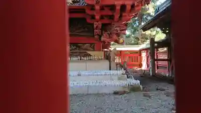 一瓶塚稲荷神社(栃木県)
