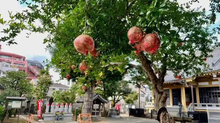 福王山 慈眼寺の自然