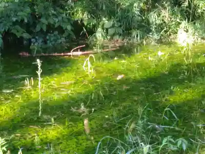 大生神社(茨城県)