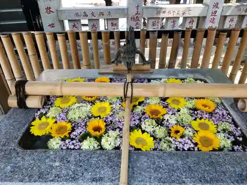 高円寺氷川神社の手水