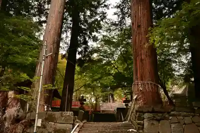 金櫻神社(山梨県)