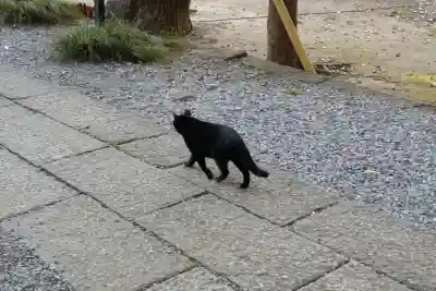 間々田八幡宮(栃木県)