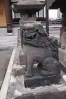 成田山札幌別院新栄寺の狛犬