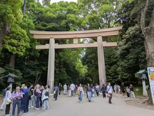 明治神宮(東京都)