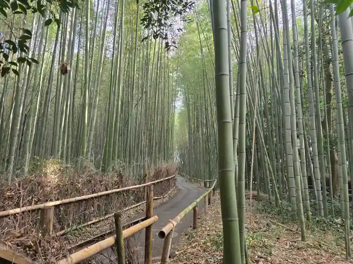 野宮神社(京都府)