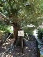 長福寺(愛知県)