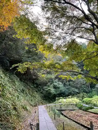 明月院(神奈川県)