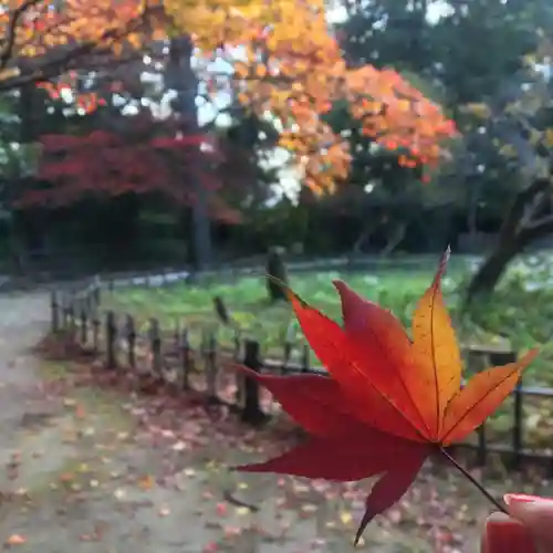 青葉神社の自然