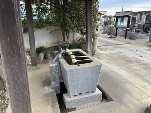 金蔵院(千葉県)