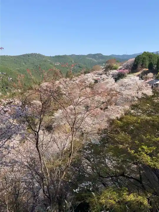 𠮷水神社(吉水神社)(奈良県)