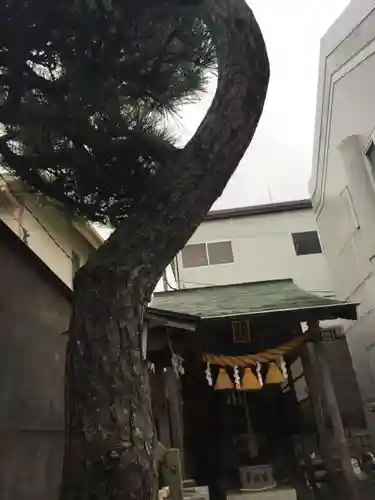 中海岸神社の本殿・本堂
